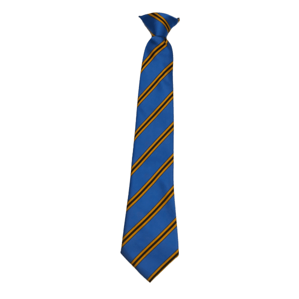 Mount Charles clip on tie