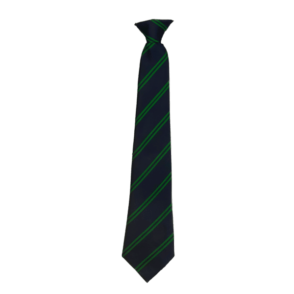Poltair Academy Tie Green