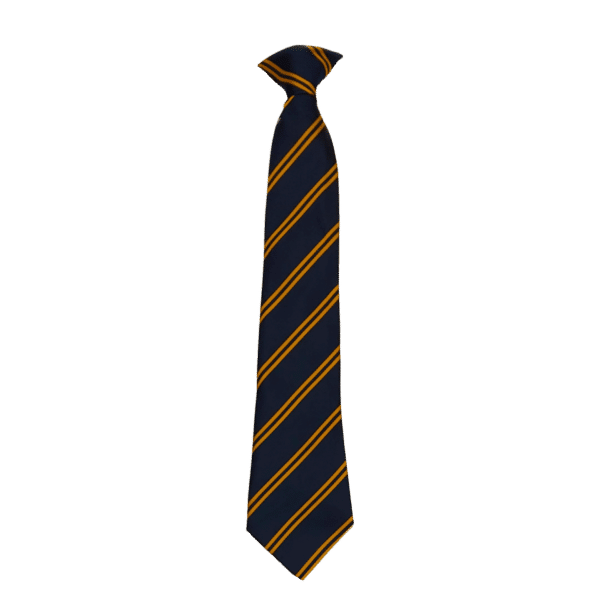 Poltair Academy Tie Yellow