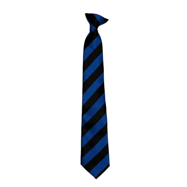 Fowey River Academy Tie Blue