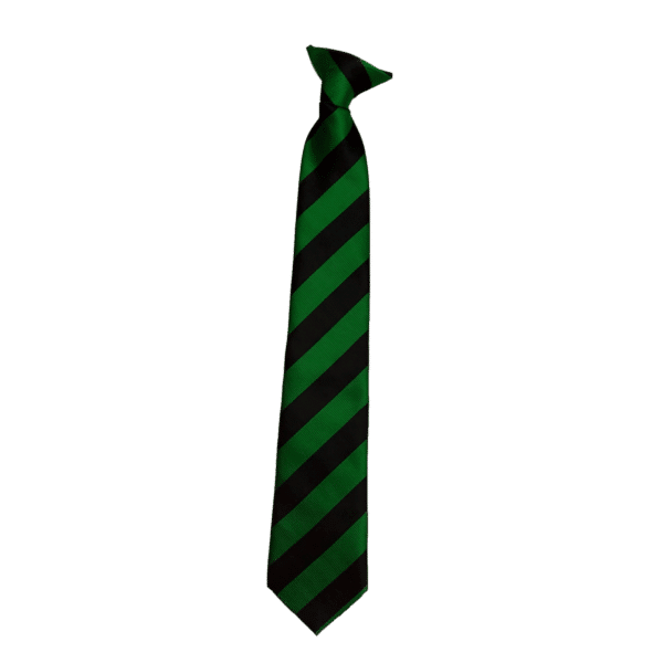 Fowey River Academy Tie Green
