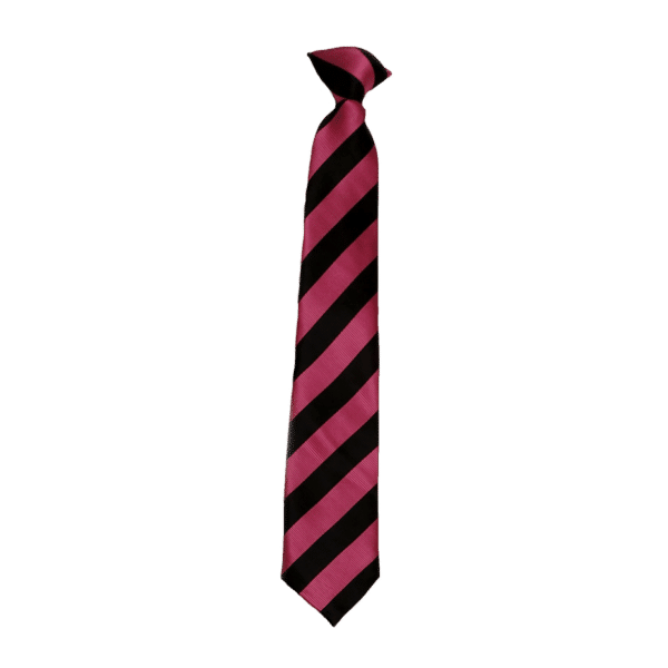 Fowey River Academy Tie Pink