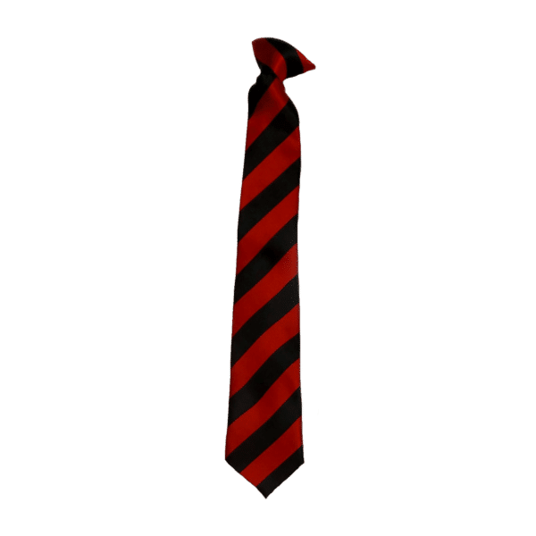 Fowey River Academy Tie Red