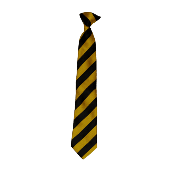 Fowey River Academy Tie Yellow