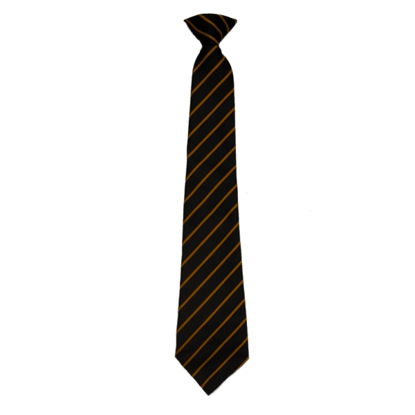 Penrice Clip on Tie