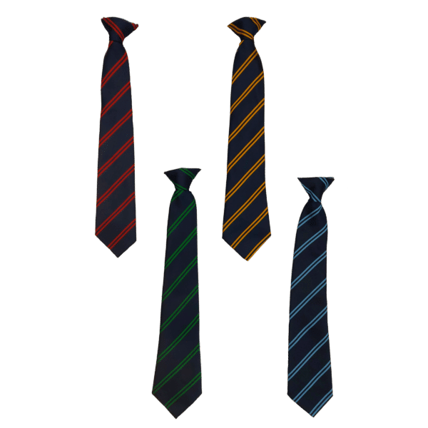 Poltair Academy Tie
