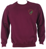 Biscovey Infants Round neck Sweatshirt