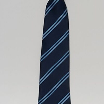 Biscovey Academy Clip on Tie