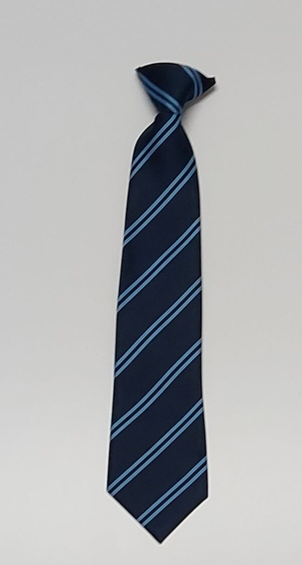 Biscovey Academy Clip on Tie