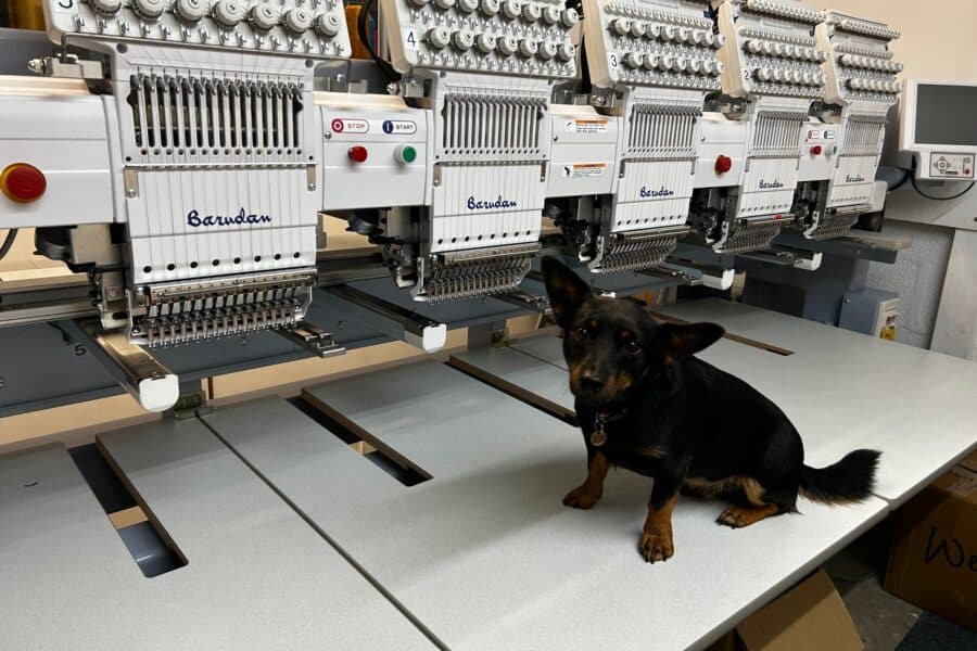 Bring your dog to work day